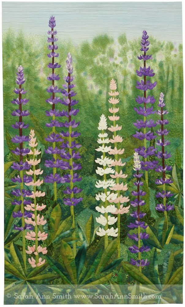 Lupines